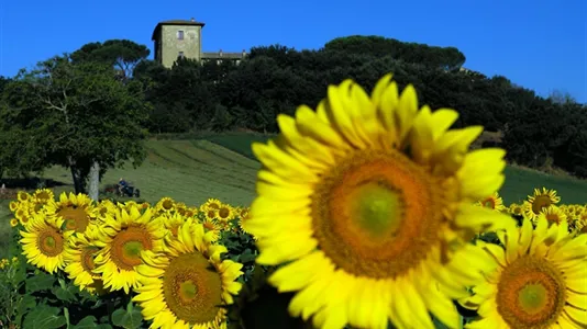 Apartments in Marsciano - photo 4