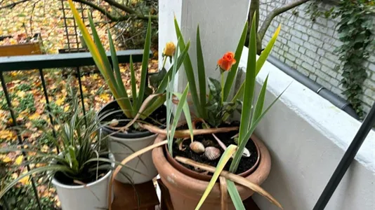 Apartments in Cologne Nippes - photo 8