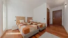 Room for rent, Ferrara, Emilia-Romagna, Via Correggiari