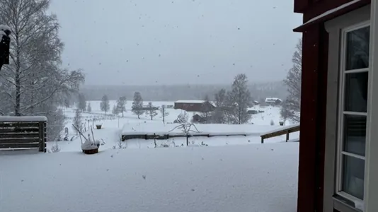 Houses in Norrköping - photo 5