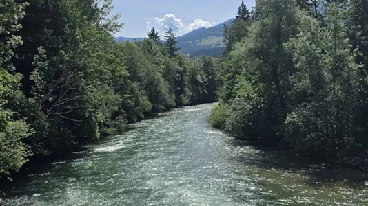 Apartments in Aich - photo 10