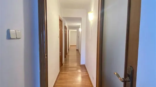 Apartments in Tavernes Blanques - photo 7