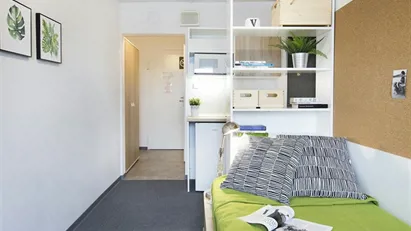 Room for rent in Poznań, Wielkopolskie