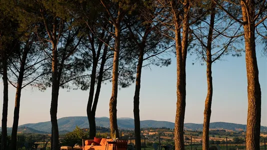 Apartments in Marsciano - photo 7