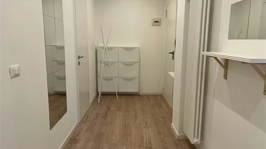 Rooms in Padua - photo 9