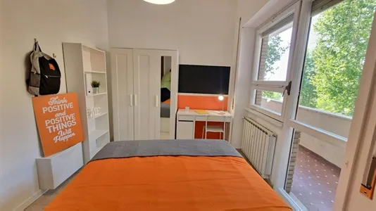 Rooms in Roma Municipio VIII – Appia Antica - photo 4