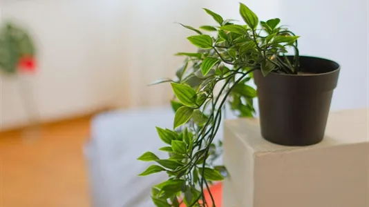 Rooms in Lecco - photo 2