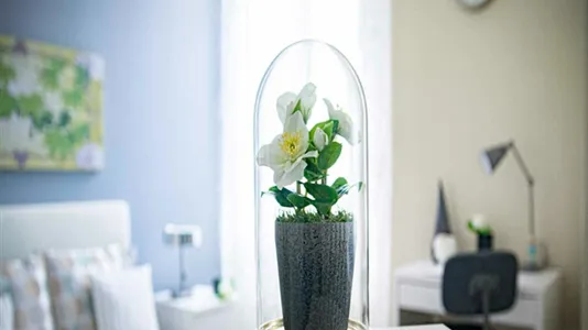 Rooms in Milano Zona 2 - Stazione Centrale, Gorla, Turro, Greco, Crescenzago - photo 8