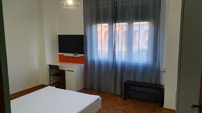 Room for rent in Pisa, Toscana