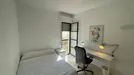 Room for rent, Alfarería, Andalucía, Plaza Zurraque