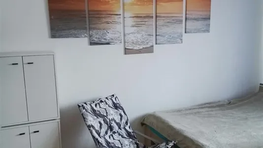 Rooms in Vienna Floridsdorf - photo 10