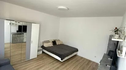 Apartment for rent in Mannheim, Baden-Württemberg