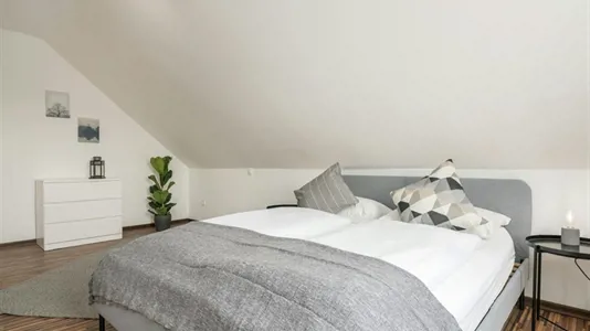 Apartments in Kassel - photo 2