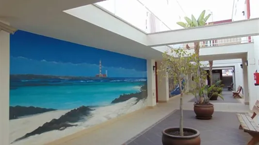 Apartments in La Oliva - photo 4