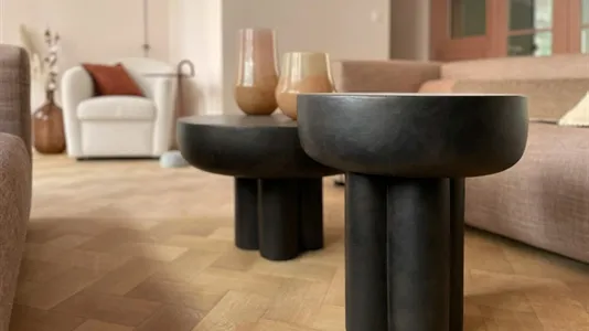 Apartments in Brussels Elsene - photo 9