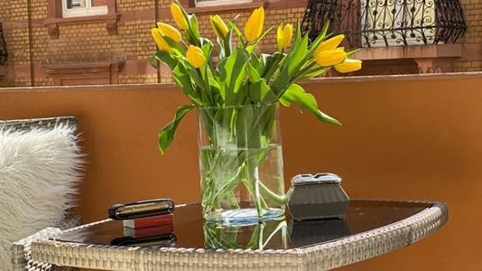 Apartments in Mannheim - photo 9