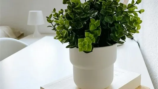 Rooms in Valencia L'Eixample - photo 3