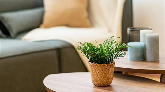 Rooms in Barcelona Ciutat Vella - photo 4