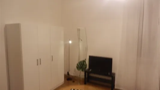 Rooms in Pisa - photo 4