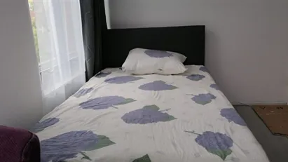 Room for rent in The Hague
