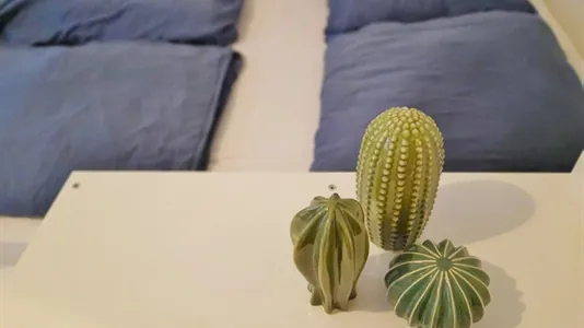 Apartments in Wien Mariahilf - photo 7