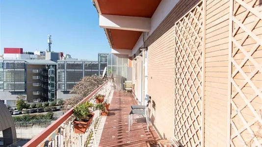 Rooms in Roma Municipio VIII – Appia Antica - photo 9