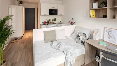 Apartment for rent in Freiburg im Breisgau, Baden-Württemberg