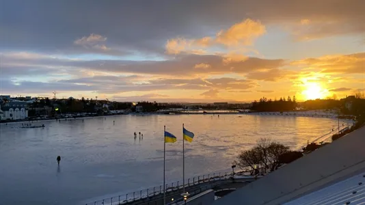Rooms in Reykjavík Miðborg - photo 5