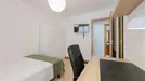 Room for rent, Valladolid, Castilla y León, Calle Santa Lucía