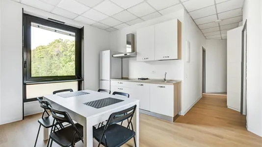 Rooms in Milano Zona 3 - Porta Venezia, Città Studi, Lambrate - photo 10