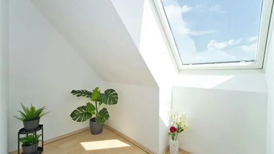 Apartments in Wien Simmering - photo 8