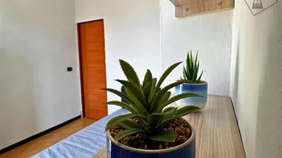 Room for rent in Turin, Piemonte