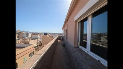 Room for rent in Palma de Mallorca, Islas Baleares