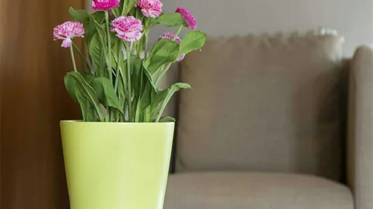 Rooms in Milano Zona 9 - Porta Garibaldi, Niguarda - photo 4