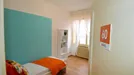 Room for rent, Modena, Emilia-Romagna, Corso Canalgrande