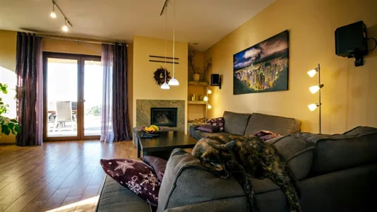 Houses in Wrocławski - photo 7