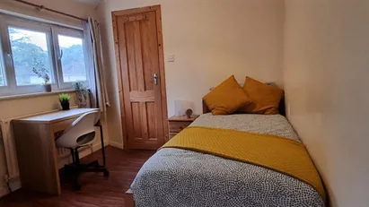 Room for rent in Dublin (county)