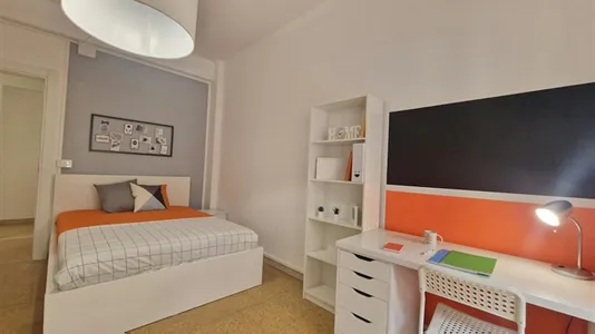 Rooms in Roma Municipio VIII – Appia Antica - photo 4