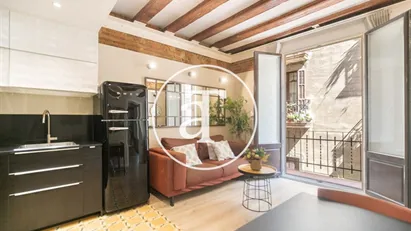 Apartment for rent in Barcelona Ciutat Vella, Barcelona