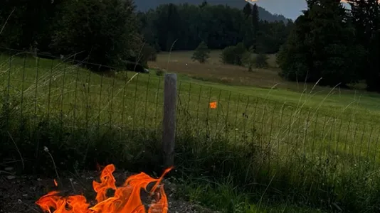 Rooms in Frastanz - photo 9