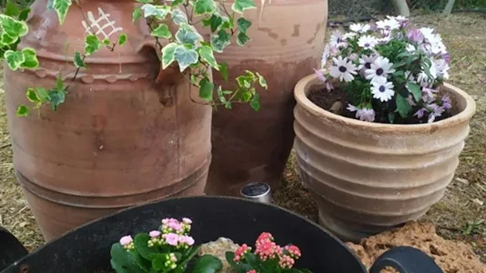 Houses in Rafina-Pikermi - photo 6