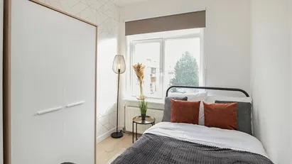 Room for rent in Rotterdam