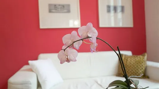 Apartments in Wien Wieden - photo 5