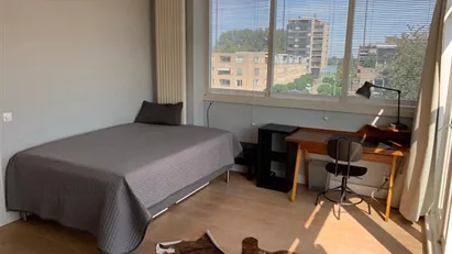 Room for rent in Rotterdam