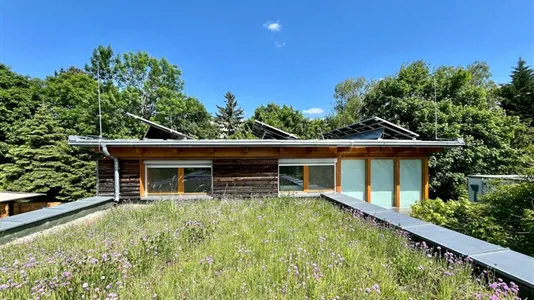 Rooms in Maria Enzersdorf - photo 1