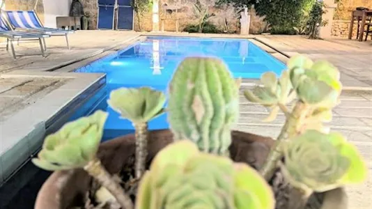 Apartments in Andrano - photo 4