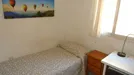 Room for rent, Córdoba, Andalucía, Calle los Omeyas