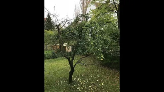 Rooms in Berlin Neukölln - photo 6