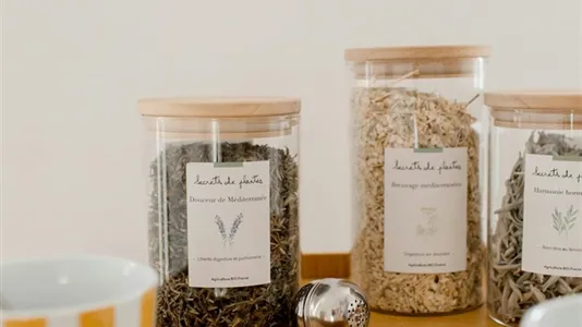 Apartments in Saint-Germain-en-Laye - photo 4