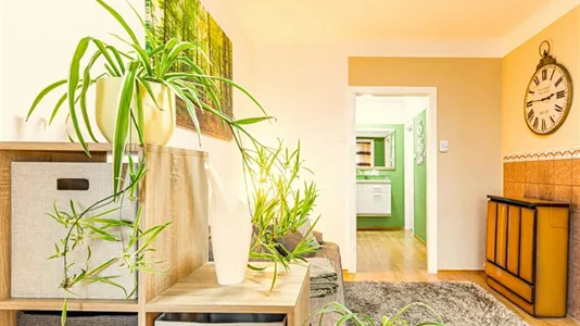Apartments in Perchtoldsdorf - photo 2